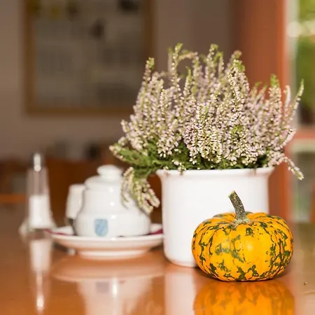 Gastehaus Olympia Reitanlage Munchen-riem Couette-café Munich